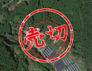 T-7 三重県【低圧】