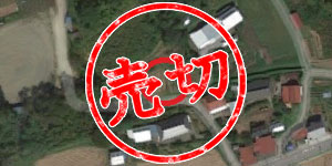 CAT-1 栃木
